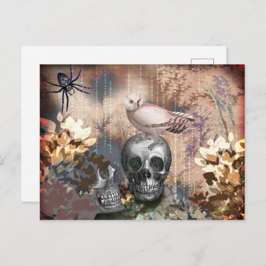 Owl en Skulls Halloween Briefkaart (Voorkant / Achterkant)