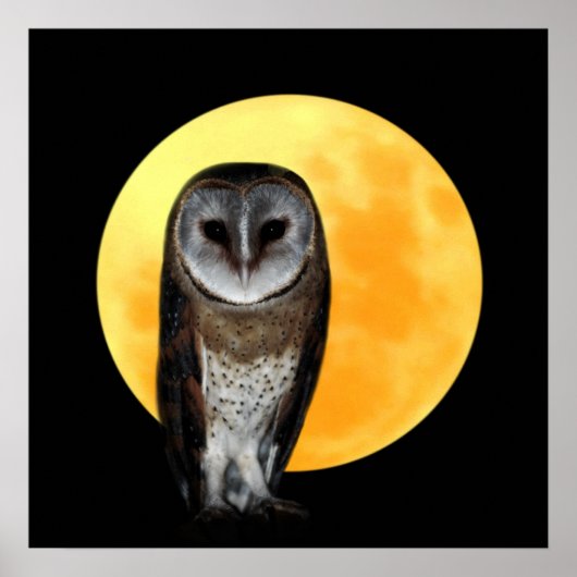 Owl en volle maan poster (Voorkant)