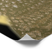 Owl en volle maan poster (Hoek)