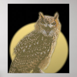 Owl en volle maan poster