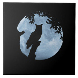 Owl en volle maan tegeltje