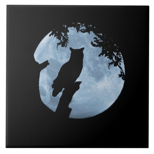 Owl en volle maan tegeltje (Voorkant)