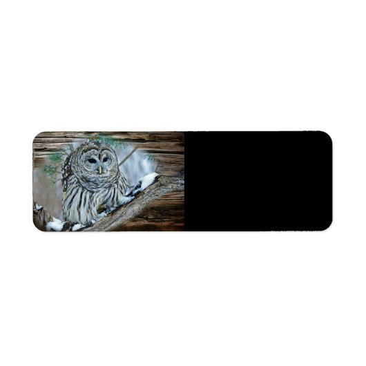 Owl Etiket (Voorkant)