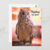 Owl experience Somerset Thinking of You Briefkaart (Voorkant / Achterkant)