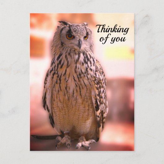 Owl experience Somerset Thinking of You Briefkaart (Voorkant)