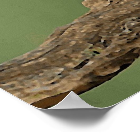 Owl Eye Bird Wild Poster (Hoek)