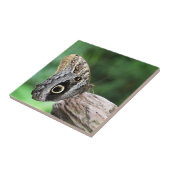 Owl Eye Butterfly Tegeltje (Zijkant)