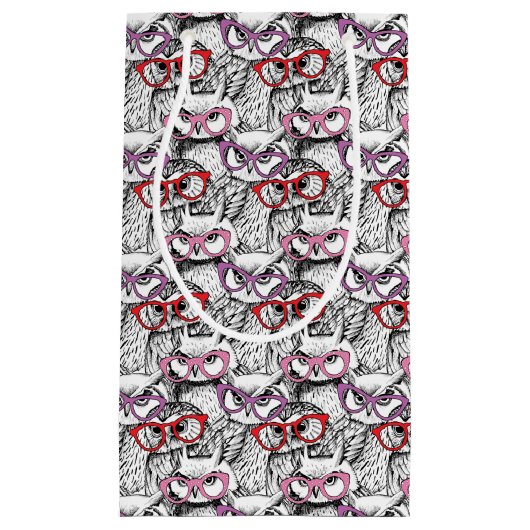 Owl Eyeglasses Patroon Klein Cadeauzakje (Voorkant)