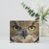 Owl Eyes Briefkaart (Staand voorkant)