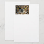 Owl Eyes Briefpapier (Voorkant / Achterkant)
