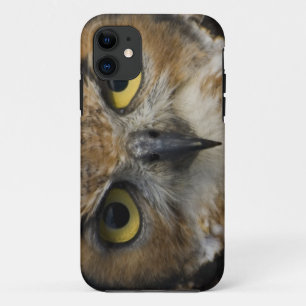 Owl Eyes iPhone 11 Hoesje