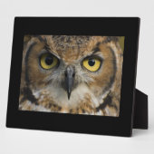 Owl Eyes Fotoplaat (Zijkant)
