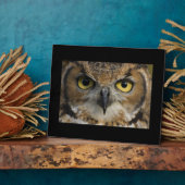 Owl Eyes Fotoplaat (Zijkant)