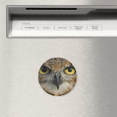Owl Eyes Magneet (Insitu (Vaatwasser))