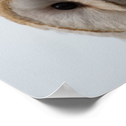 Owl Eyes Poster (Hoek)