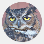 Owl Eyes Ronde Sticker (Voorkant)