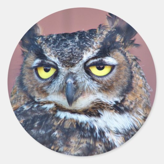 Owl Eyes Ronde Sticker (Voorkant)