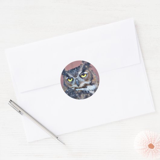 Owl Eyes Ronde Sticker (Envelop)