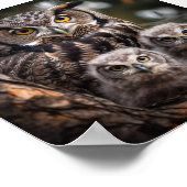 Owl Family Poster (Hoek)