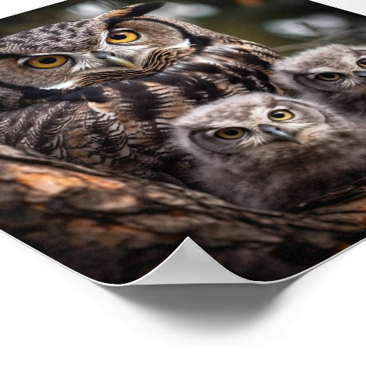 Owl Family Poster (Hoek)