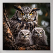 Owl Family Poster (Voorkant)
