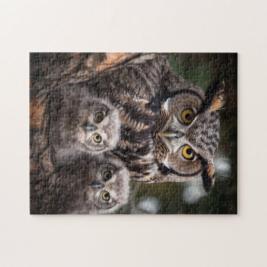 Owl Family Puzzle Legpuzzel (Horizontaal)