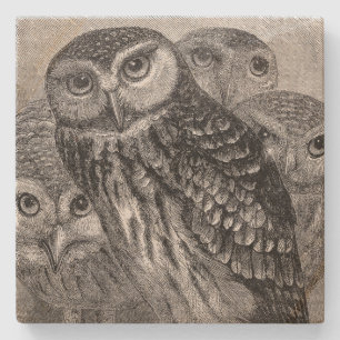  Owl Family Square Stenen Onderzetter
