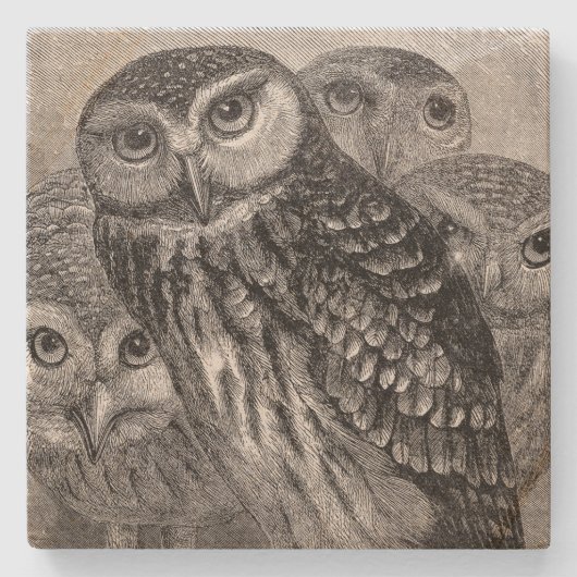  Owl Family Square Stenen Onderzetter (Voorkant)
