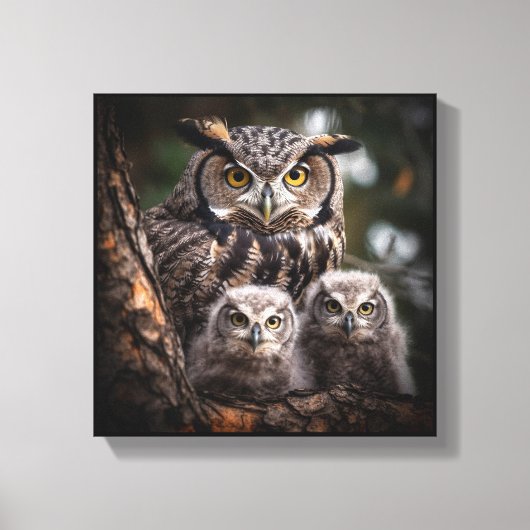 Owl Family Stretted Canvas Print (Voorkant)
