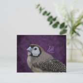 Owl Finch Briefkaart (Staand voorkant)
