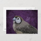 Owl Finch Briefkaart (Voorkant / Achterkant)