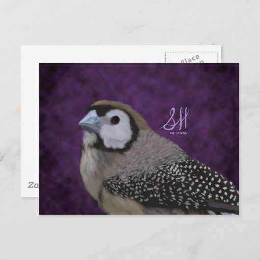 Owl Finch Briefkaart (Voorkant / Achterkant)