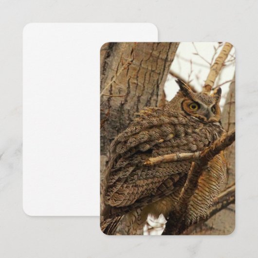 Owl Flat Notecard Bedankkaart (Voorkant / Achterkant)