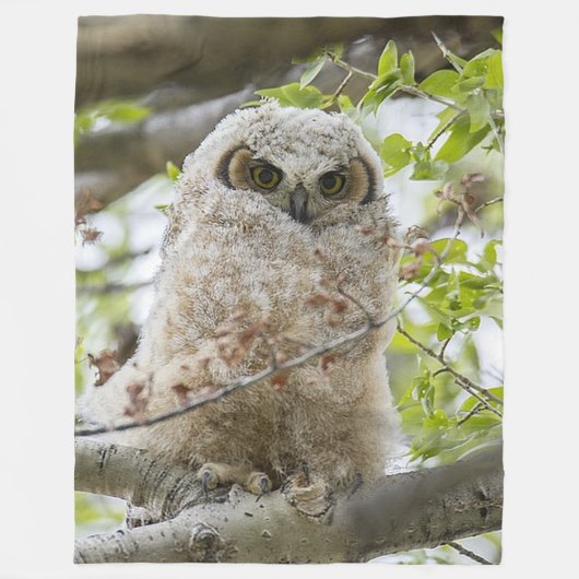 Owl Fleece Blanket (Voorkant)