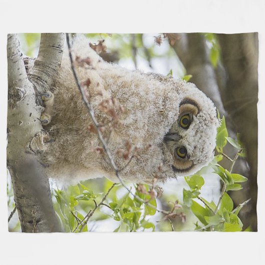 Owl Fleece Blanket (Voorkant (Horizontaal))