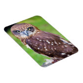Owl Flexibele magneet (Rechterzijde)