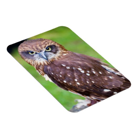 Owl Flexibele magneet (Rechterzijde)
