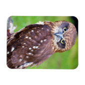 Owl Flexibele magneet (Horizontaal)