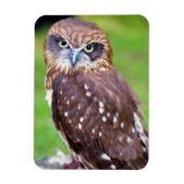 Owl Flexibele magneet (Verticaal)