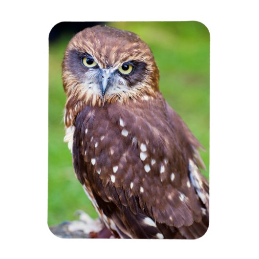 Owl Flexibele magneet (Verticaal)