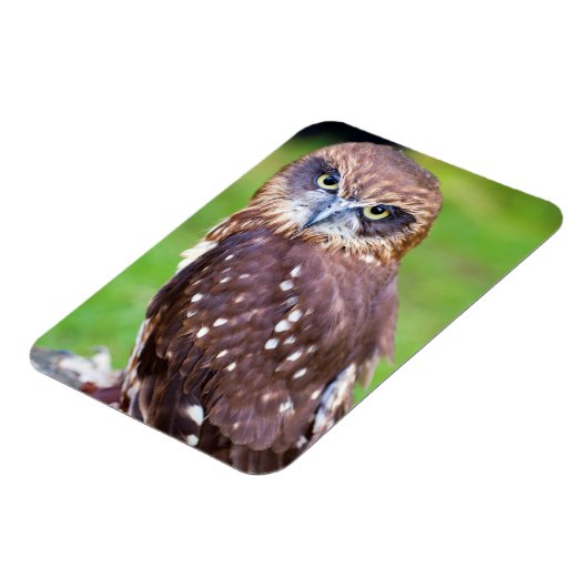 Owl Flexibele magneet (Linkerzijde)