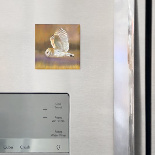 Owl Flying Magnet (Insitu (Koelkast))