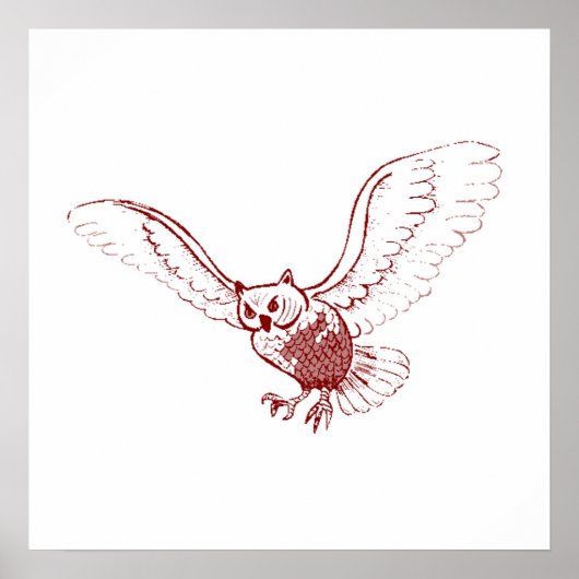 Owl Flying Poster (Voorkant)