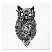 Owl Foto Afdruk (Voorkant)
