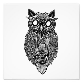 Owl Foto Afdruk