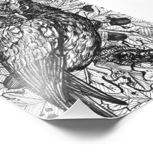 Owl Foto Afdruk (Hoek)