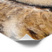 OWL FOTO AFDRUK (Hoek)