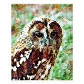OWL FOTO AFDRUK (Voorkant)