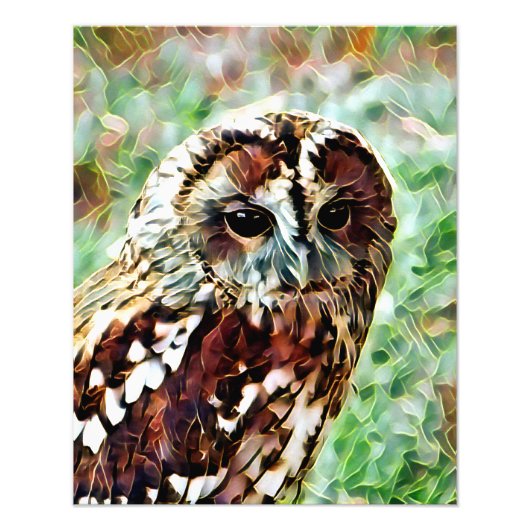 OWL FOTO AFDRUK (Voorkant)