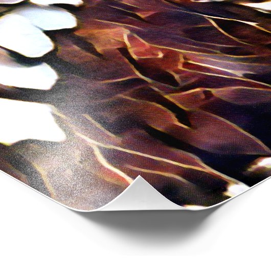 OWL FOTO AFDRUK (Hoek)